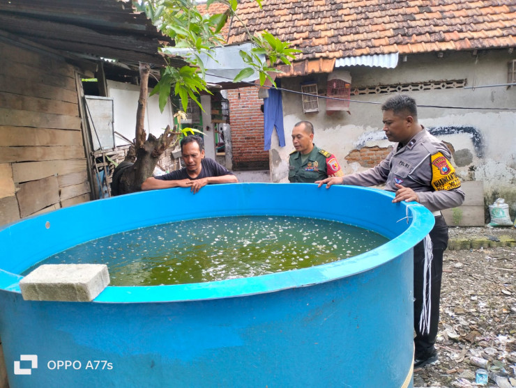 Bhabinkamtibmas Desa Wedi Dampingi Warga Budidaya Ikan Lele